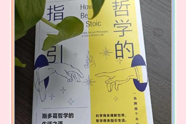 探索孟哲的成长之路与人生哲学