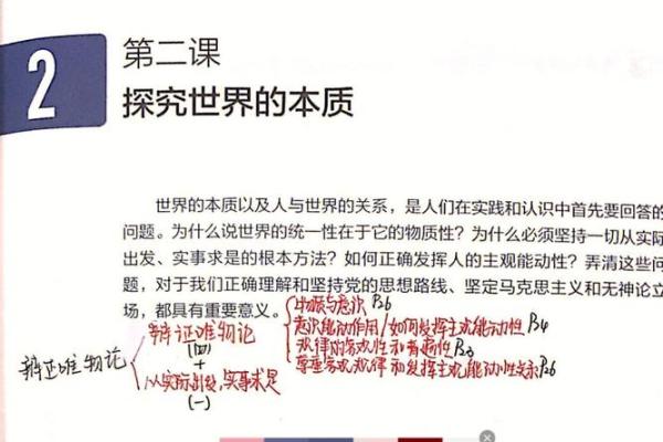 探索孟哲的成长之路与人生哲学