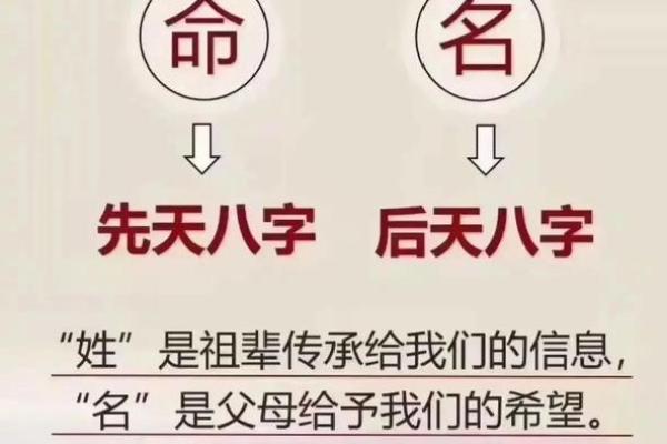 精准命名，周易公司测名网为企业提供专业服务