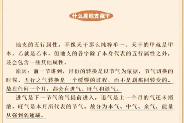 探秘地支配脏腑，开启健康生活新境界