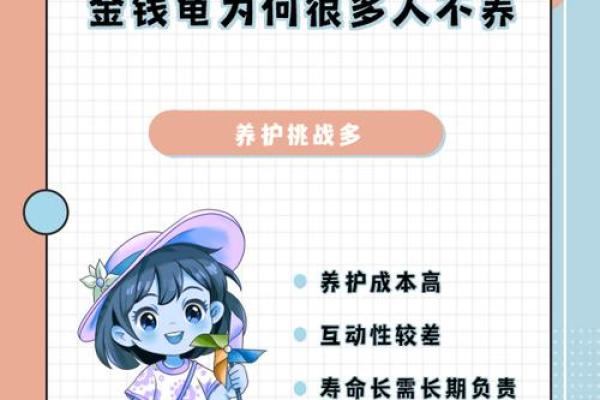 龟风水秘籍，办公室摆放指南，财运亨通的秘密武器