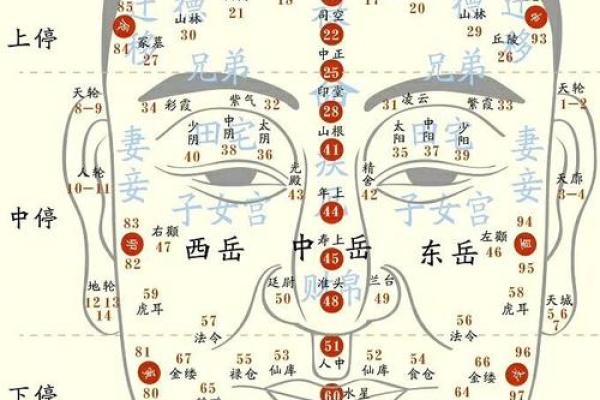 面相脸大，运势如何？