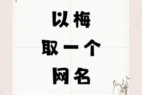 如何通过生辰八字为自己取个独特网名