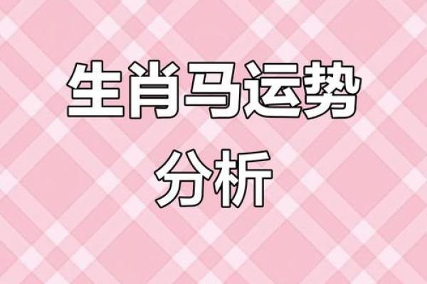 属马人今天运势如何