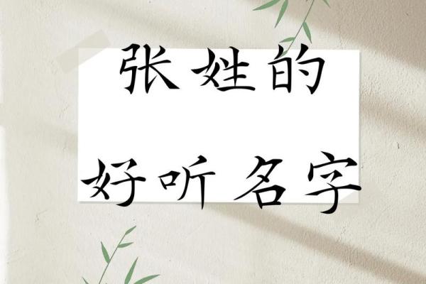 张姓宝宝取名攻略：避开这些禁忌，为宝宝取一个好名字