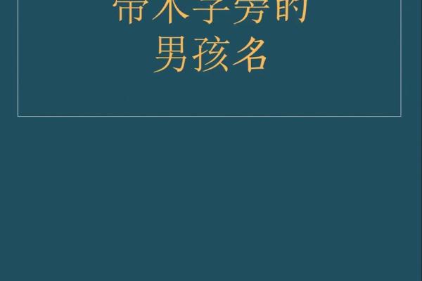 木字宝宝，灵动好名