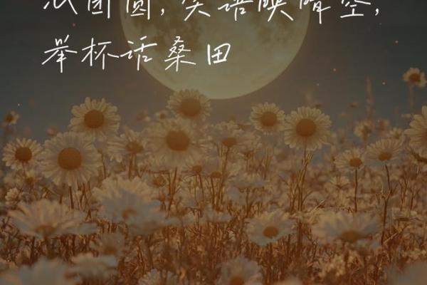 梦幻民俗闹中秋，团圆共赏月儿圆