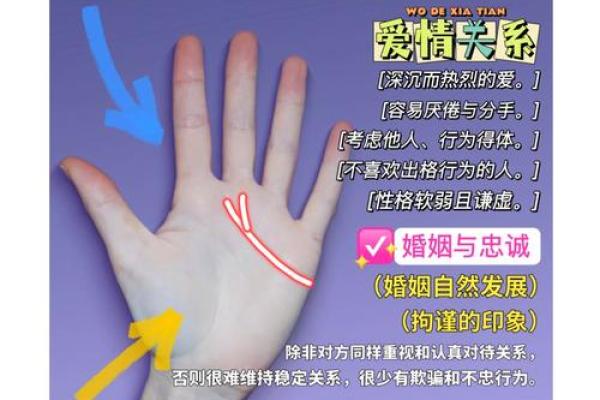 掌中秘密，探索手相的千变万化