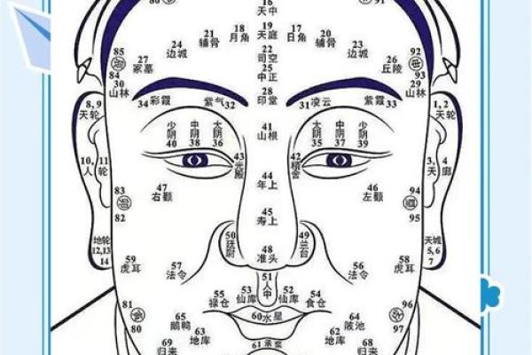 刀山鼻面相女：神秘面相背后的命运之谜