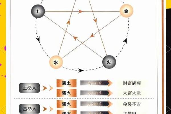 禾五行：探索自然与命运的奥秘