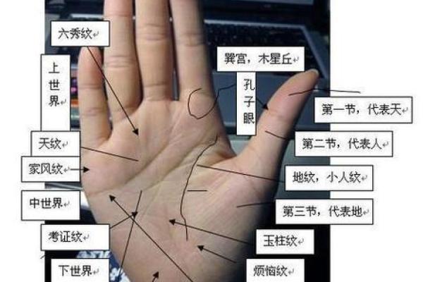 手相秘籍：揭秘好手相的五大特征！