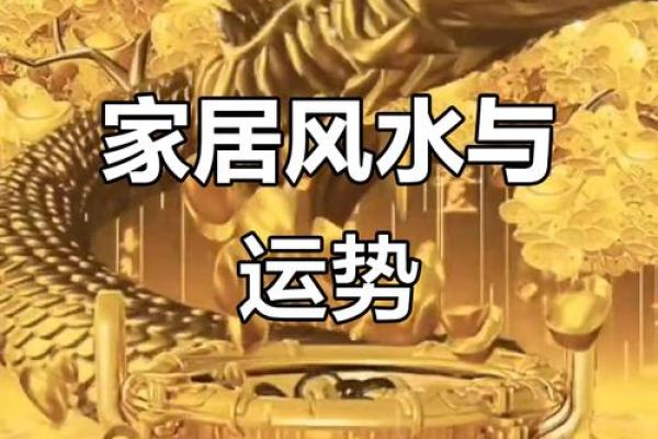 轻松提升运势！家居风水布局攻略大揭秘
