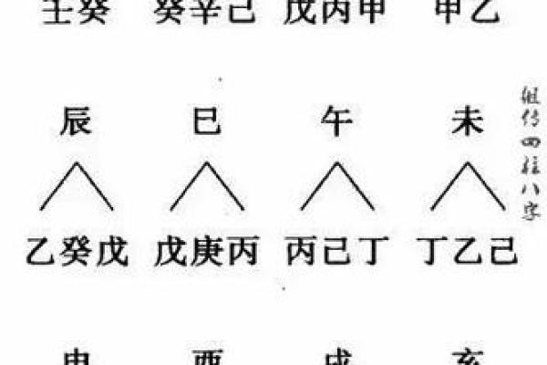 十二地支掌中现：探寻命理奥秘的神奇掌纹