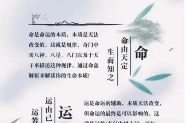 风水大师亲授：家居风水核心目标助你幸福安康！