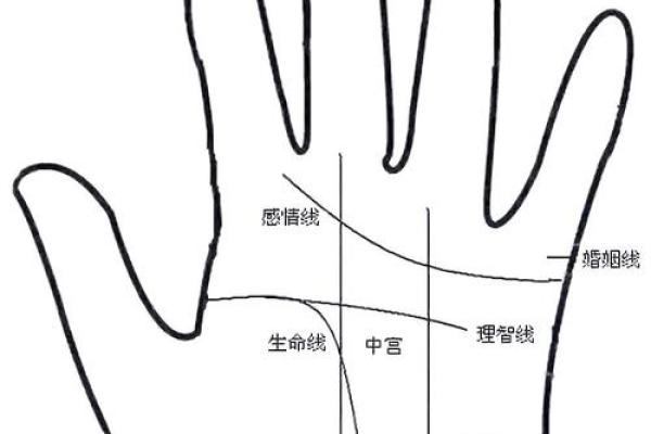 手相奥秘：双重线揭示命运密码