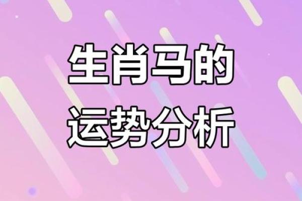 出生的属马人在的运势走向