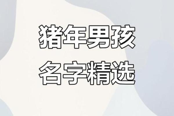 猪年孙氏萌宝起名攻略