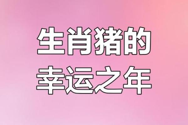 属猪人2015年运势大揭秘：财运亨通，事业腾飞