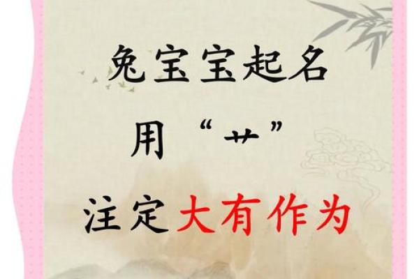 兔字五行属性解析