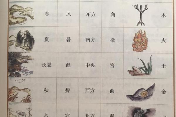 英文字母五行属性与性格特征的关系