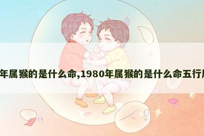 1980年属猴的是什么命,1980年属猴的是什么命五行属什么