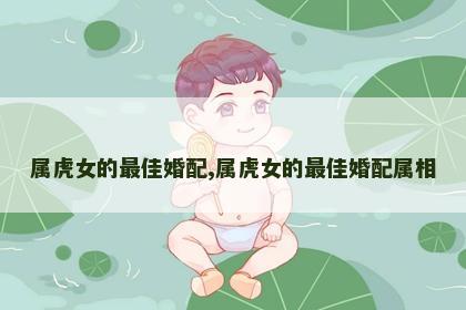 属虎女的最佳婚配,属虎女的最佳婚配属相