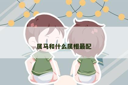 属马和什么属相最配