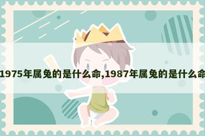 1975年属兔的是什么命,1987年属兔的是什么命