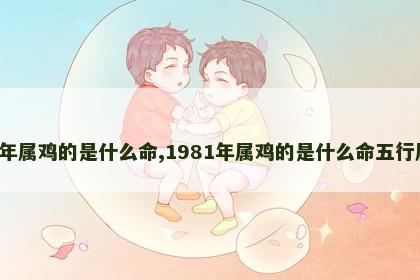 1981年属鸡的是什么命,1981年属鸡的是什么命五行属什么