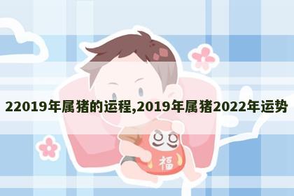 22019年属猪的运程,2019年属猪2022年运势