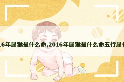 2016年属猴是什么命,2016年属猴是什么命五行属什么