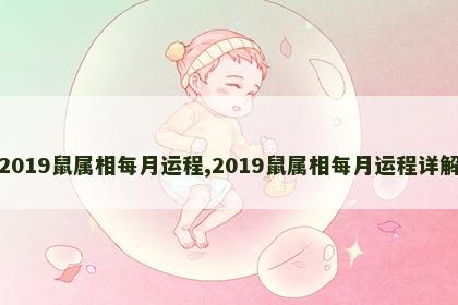 2019鼠属相每月运程,2019鼠属相每月运程详解