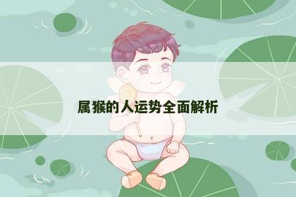 属猴的人运势全面解析