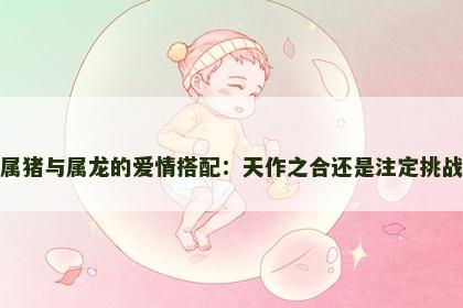 属猪与属龙的爱情搭配：天作之合还是注定挑战