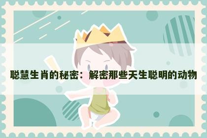 聪慧生肖的秘密：解密那些天生聪明的动物