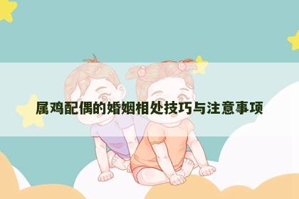 属鸡配偶的婚姻相处技巧与注意事项