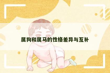 属狗和属马的性格差异与互补
