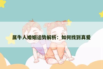 属牛人婚姻运势解析：如何找到真爱