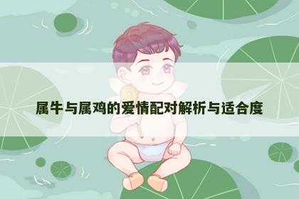 属牛与属鸡的爱情配对解析与适合度