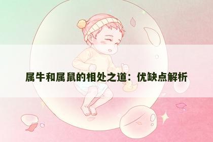 属牛和属鼠的相处之道：优缺点解析