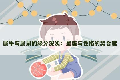 属牛与属鼠的缘分深浅：星座与性格的契合度