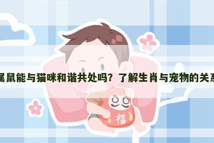 属鼠能与猫咪和谐共处吗？了解生肖与宠物的关系