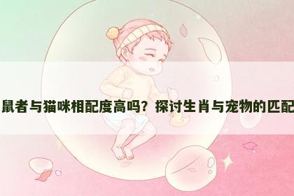 属鼠者与猫咪相配度高吗？探讨生肖与宠物的匹配性