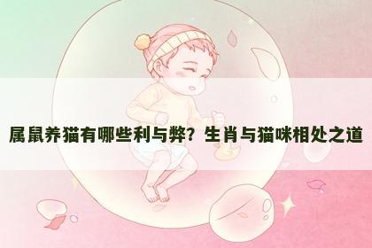 属鼠养猫有哪些利与弊？生肖与猫咪相处之道