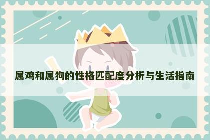 属鸡和属狗的性格匹配度分析与生活指南