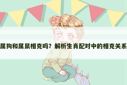 属狗和属鼠相克吗？解析生肖配对中的相克关系
