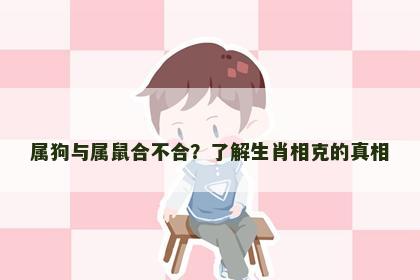 属狗与属鼠合不合？了解生肖相克的真相