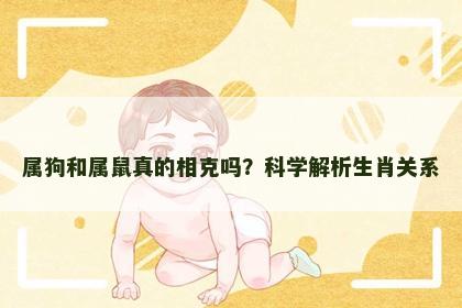 属狗和属鼠真的相克吗？科学解析生肖关系
