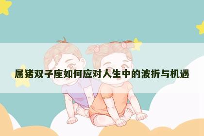 属猪双子座如何应对人生中的波折与机遇