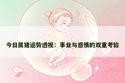 今日属猪运势透视：事业与感情的双重考验